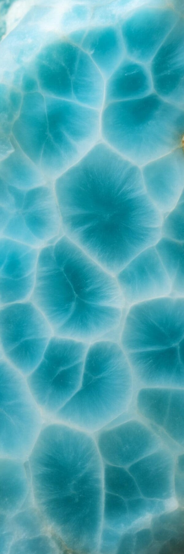 Voice of Tides